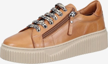 PIAZZA Schnürschuh in Braun: Vorderseite