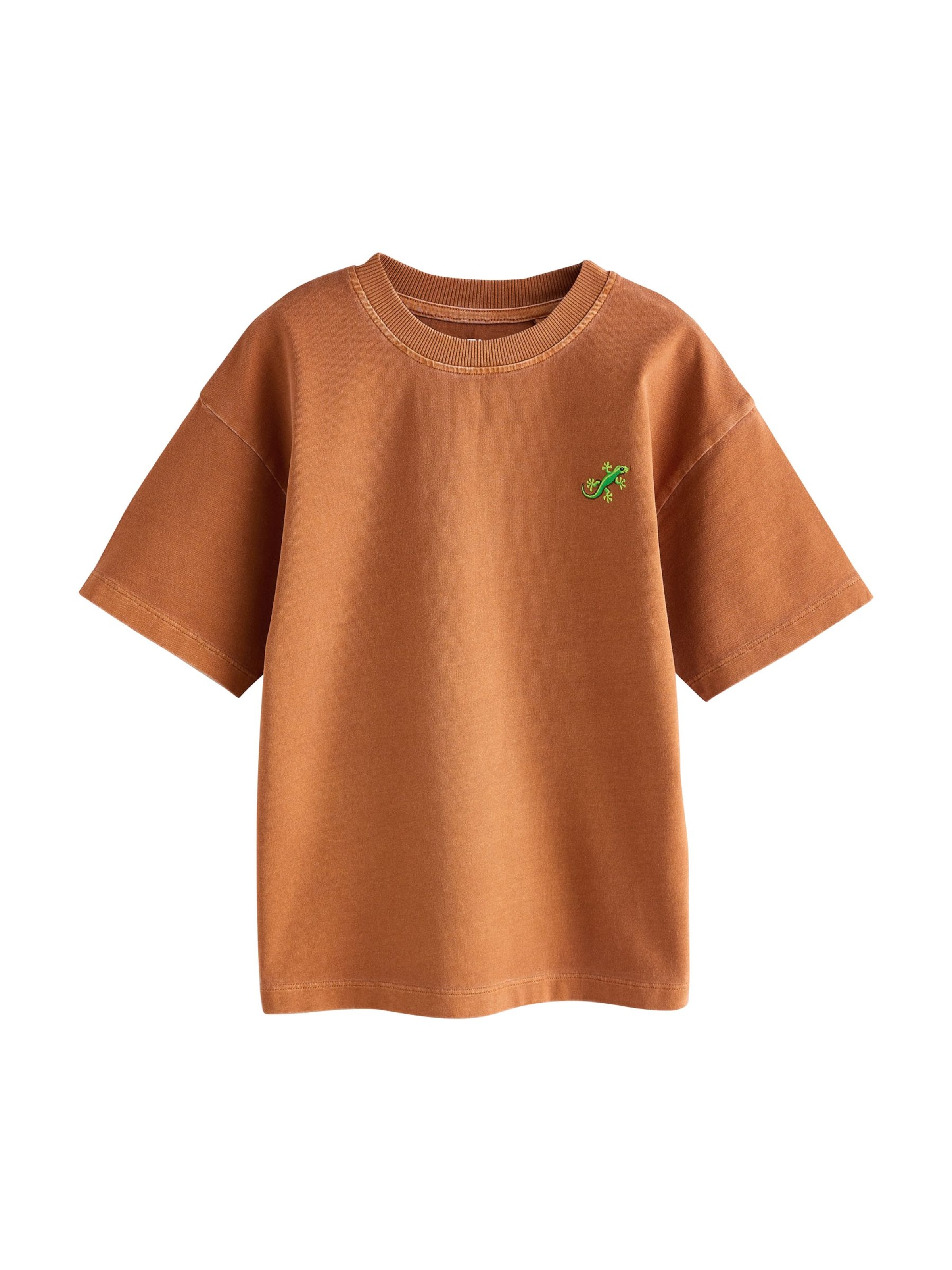 T-Shirt Next en marron : devant