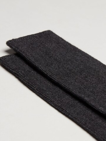 CALZEDONIA Knee High Socks in Grey