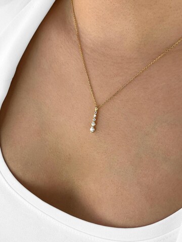 DANIEL CLIFFORD Necklace 'Henna' in Gold