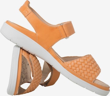 Ganter Sandals in Orange