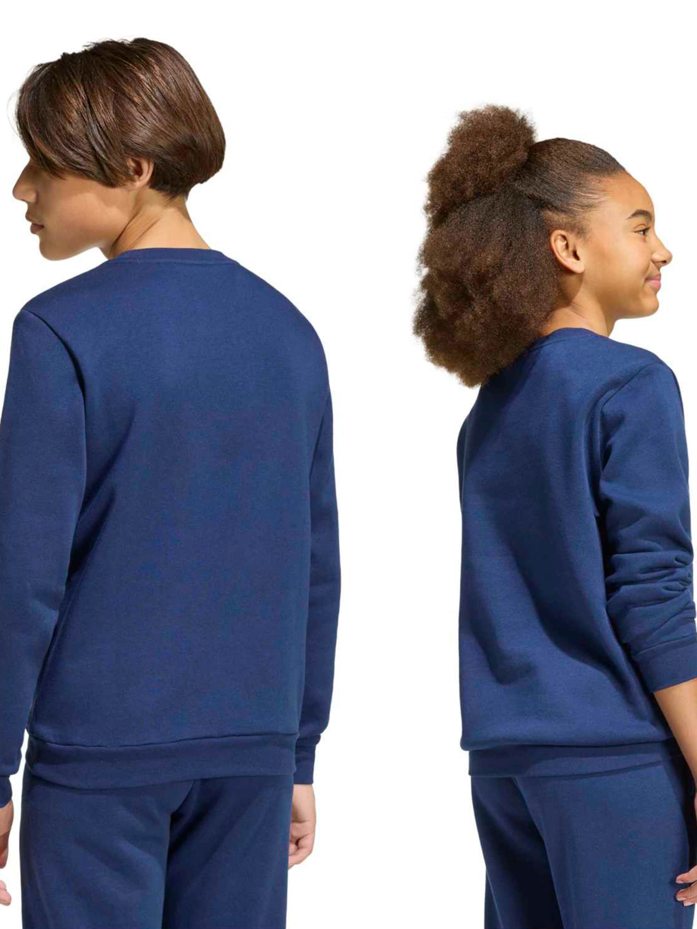 ADIDAS PERFORMANCE Sport sweatshirt 'ENT26' i blå