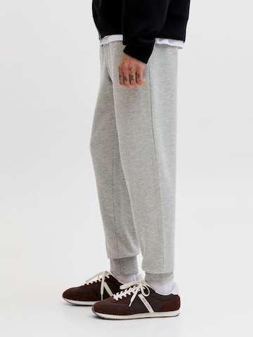 Tapered Pantaloni 'JPSTGordon' di JACK & JONES in grigio
