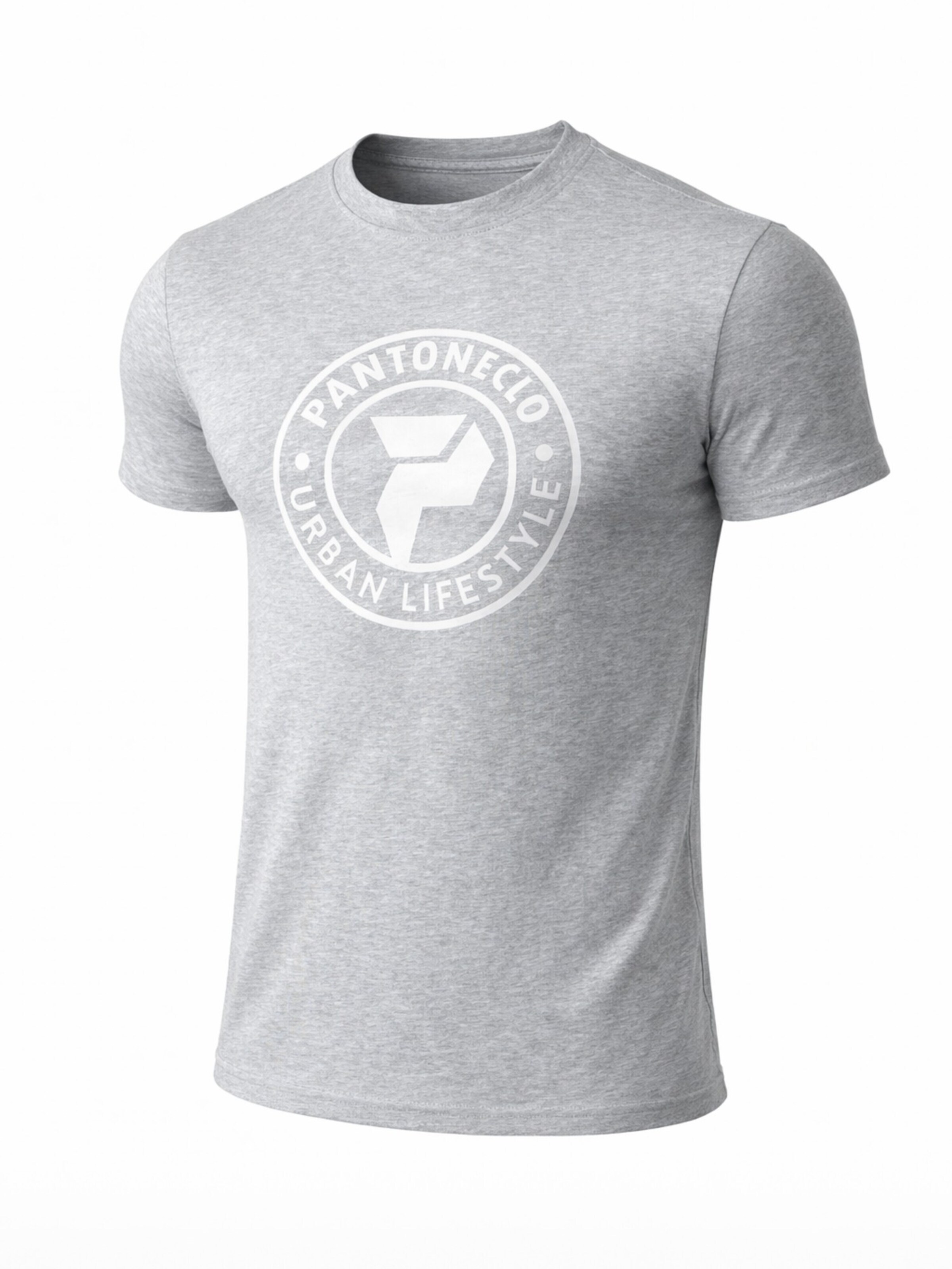 PANTONECLO Shirt 'Pantoneclo Men’s Crew Neck Short Sleeve T-Shirt' in Grey: front