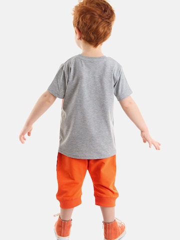 Set 'Orange Tiger' Denokids en gris