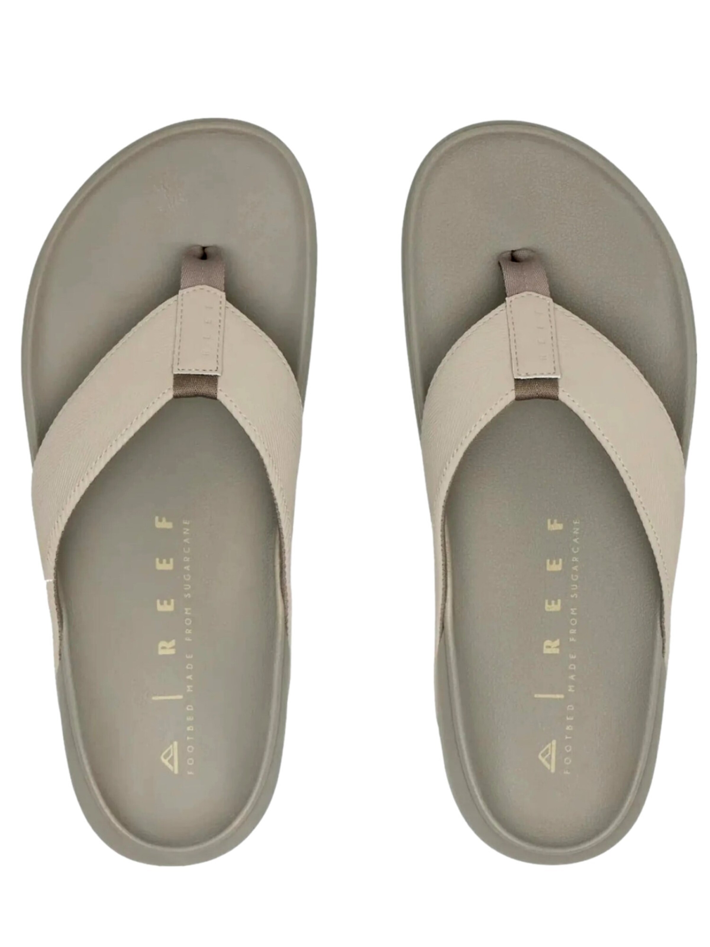 REEF T-Bar Sandals 'The Raglan' in Grey