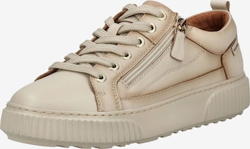 PIKOLINOS Platform trainers in Beige: front