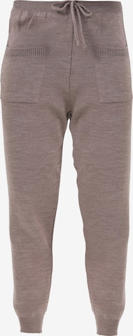 Jimmy Sanders Tapered Pants in Grey: front