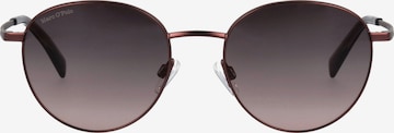 Marc O'Polo EYEWEAR Sunglasses in Purple: front