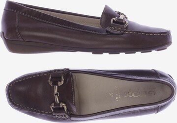 GEOX Flats & Loafers in 37 in Brown: front