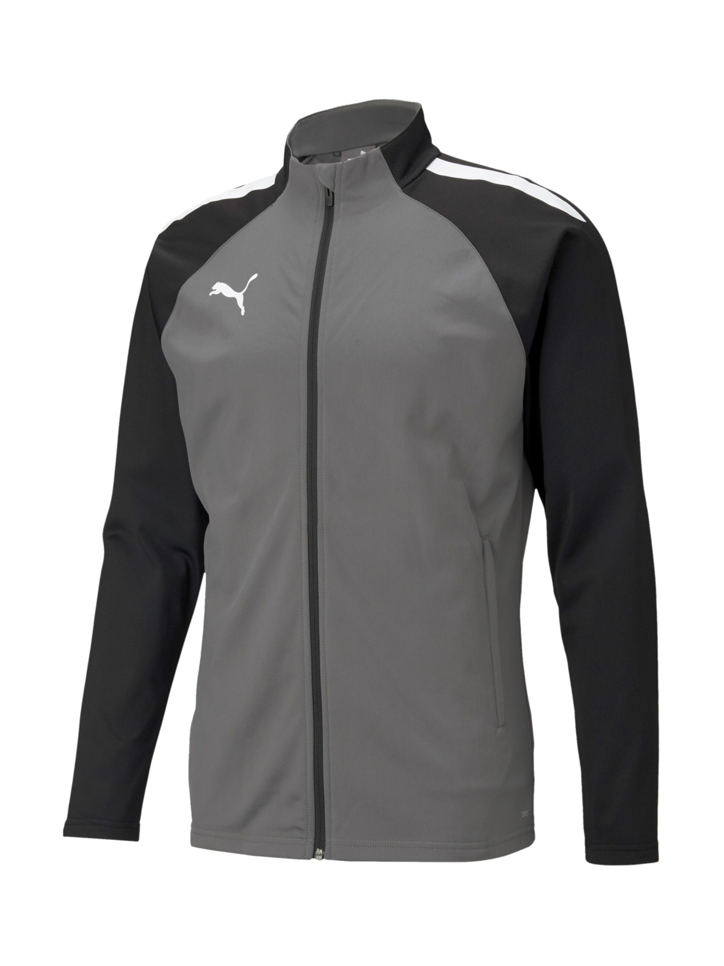 PUMA Athletic Jacket 'TeamLIGA' in Grey
