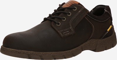 CAMEL ACTIVE Nauhakengät 'ALVAR' värissä suklaa / konjakki, Tuotenäkymä