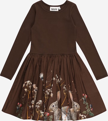 Molo Dress 'CASIE' in Brown: front