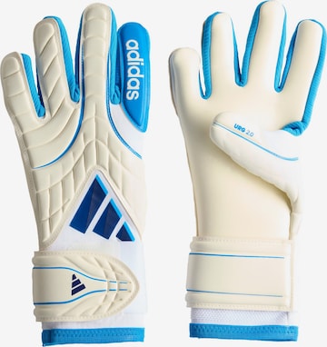 ADIDAS PERFORMANCESportske rukavice 'Copa Pro' - bijela boja: prednji dio