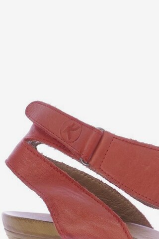 Kämpgen Sandals & High-Heeled Sandals in 38 in Red