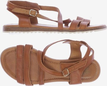 Apple of Eden Sandals & High-Heeled Sandals in 38 in Brown: front