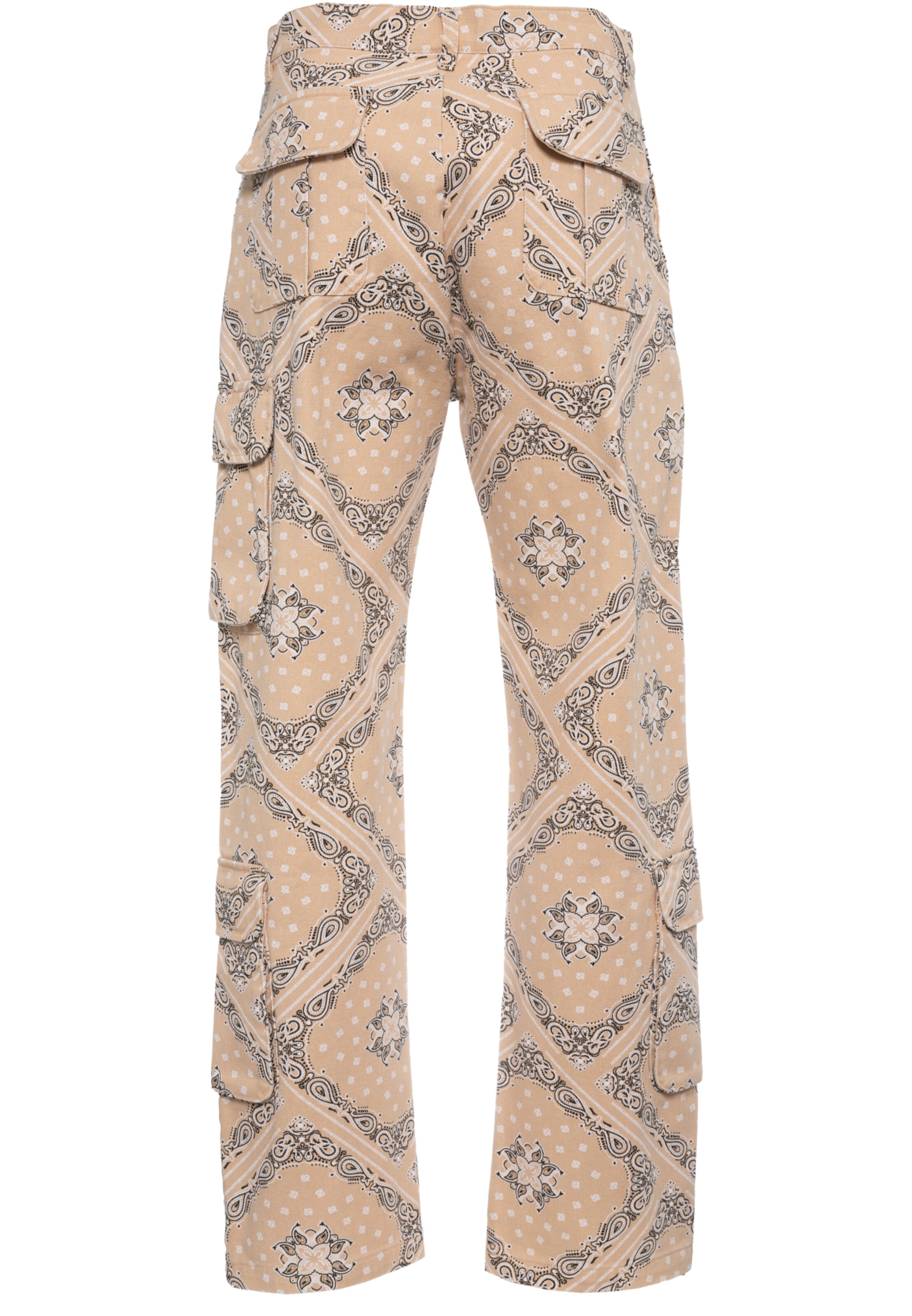 Karl Kani Обычный Брюки-карго в Бежевый