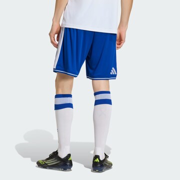 ADIDAS PERFORMANCE Regular Sports trousers 'Griechenland 26' in Blue