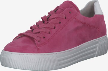 Sneaker bassa di GABOR in rosa: frontale