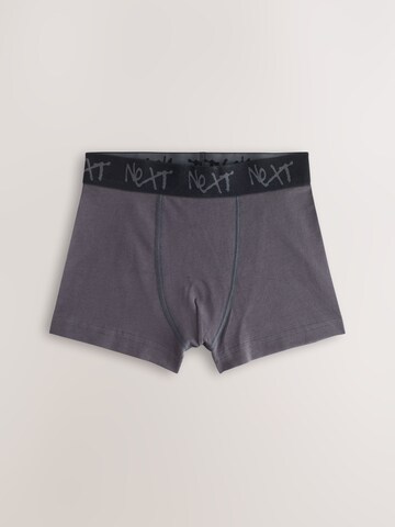 Pantaloncini intimi di Next in grigio