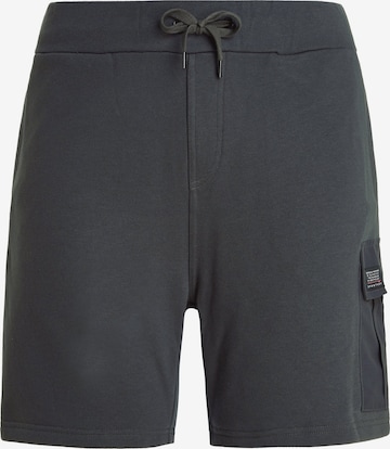 PROTEST Loosefit Sporthose 'PRTOHREN' in Grau: Vorderseite