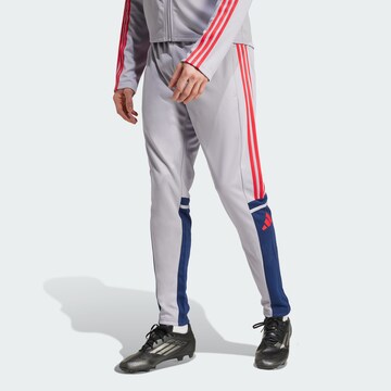 ADIDAS PERFORMANCE - Slimfit Pantalón deportivo 'Squadra 25' en gris: frente