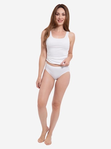 SPEIDEL Slip 'bio.cotton Sport Edition' in White