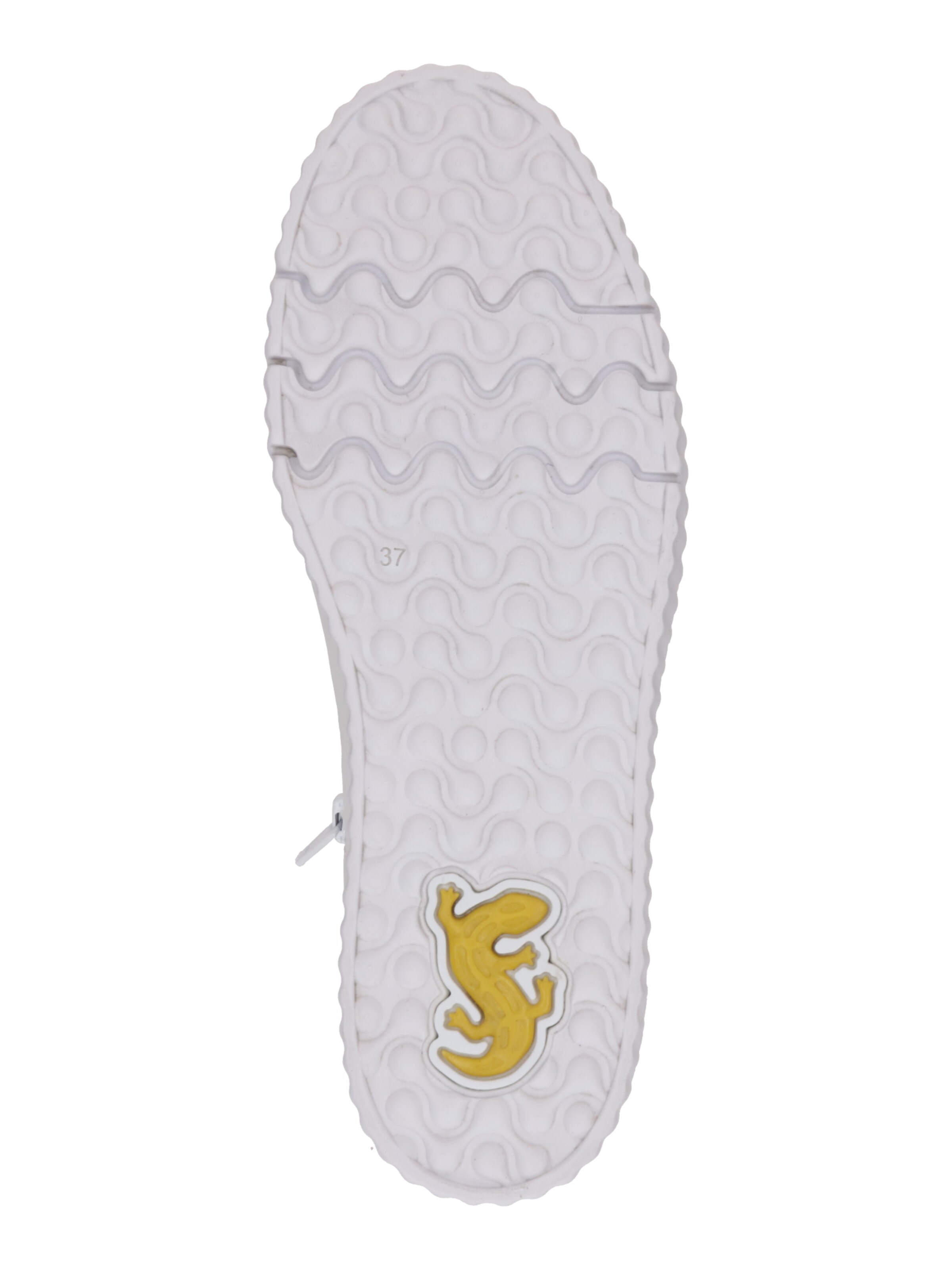 Baskets basses SALAMANDER en blanc