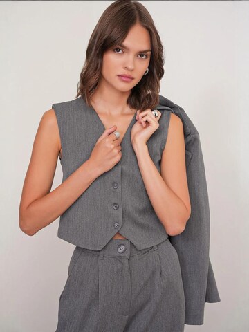 Gilet di MixRay in grigio