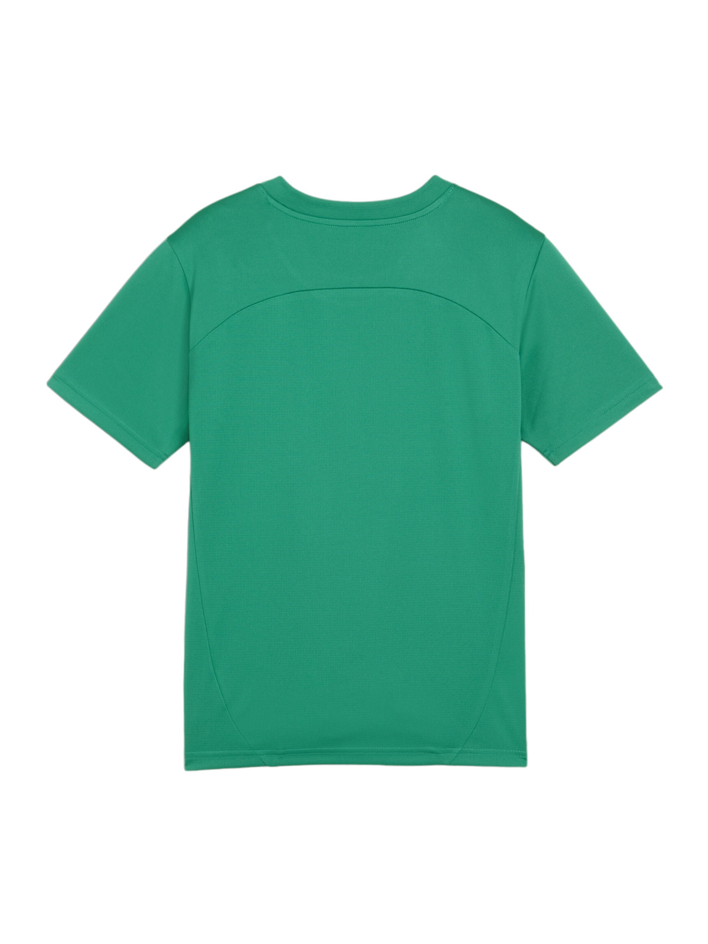 PUMA Funktionsshirt in Grün
