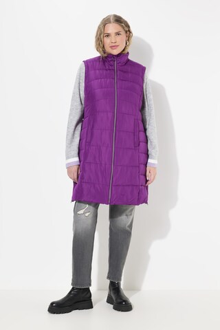 Ulla Popken Bodywarmer in Lila