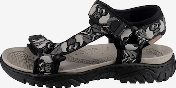 Rieker Hiking Sandals in Black