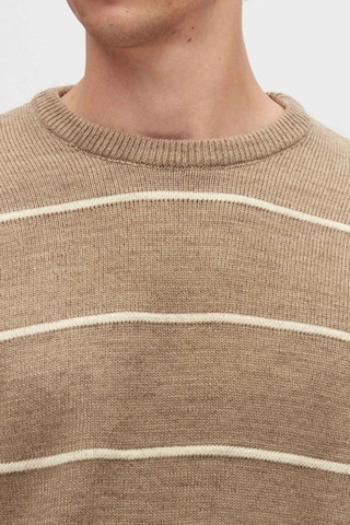 D’S Damat Trui in Bruin