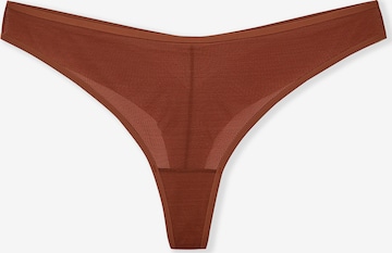 String di ETAM in marrone: frontale