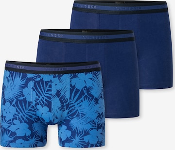 SCHIESSER Underpants ' 95/5 Organic Cotton ' in Blue: front