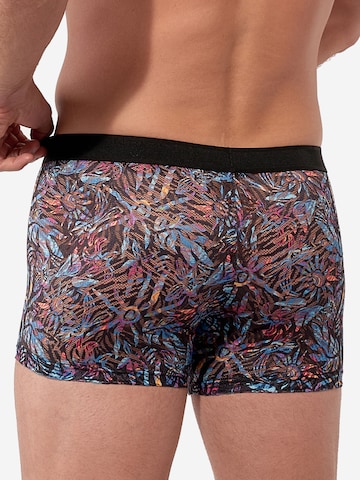 HOM Boxer shorts 'Biscayne' in Mixed colors
