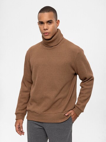 Antioch Sweater in Brown