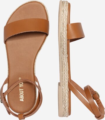 ABOUT YOU Sandalen met riem 'Anita' in Bruin