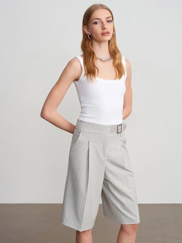 Wide leg Pantaloni di Dilvin in grigio: frontale