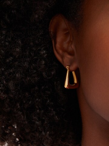 Boucles d'oreilles Lucardi en or : devant