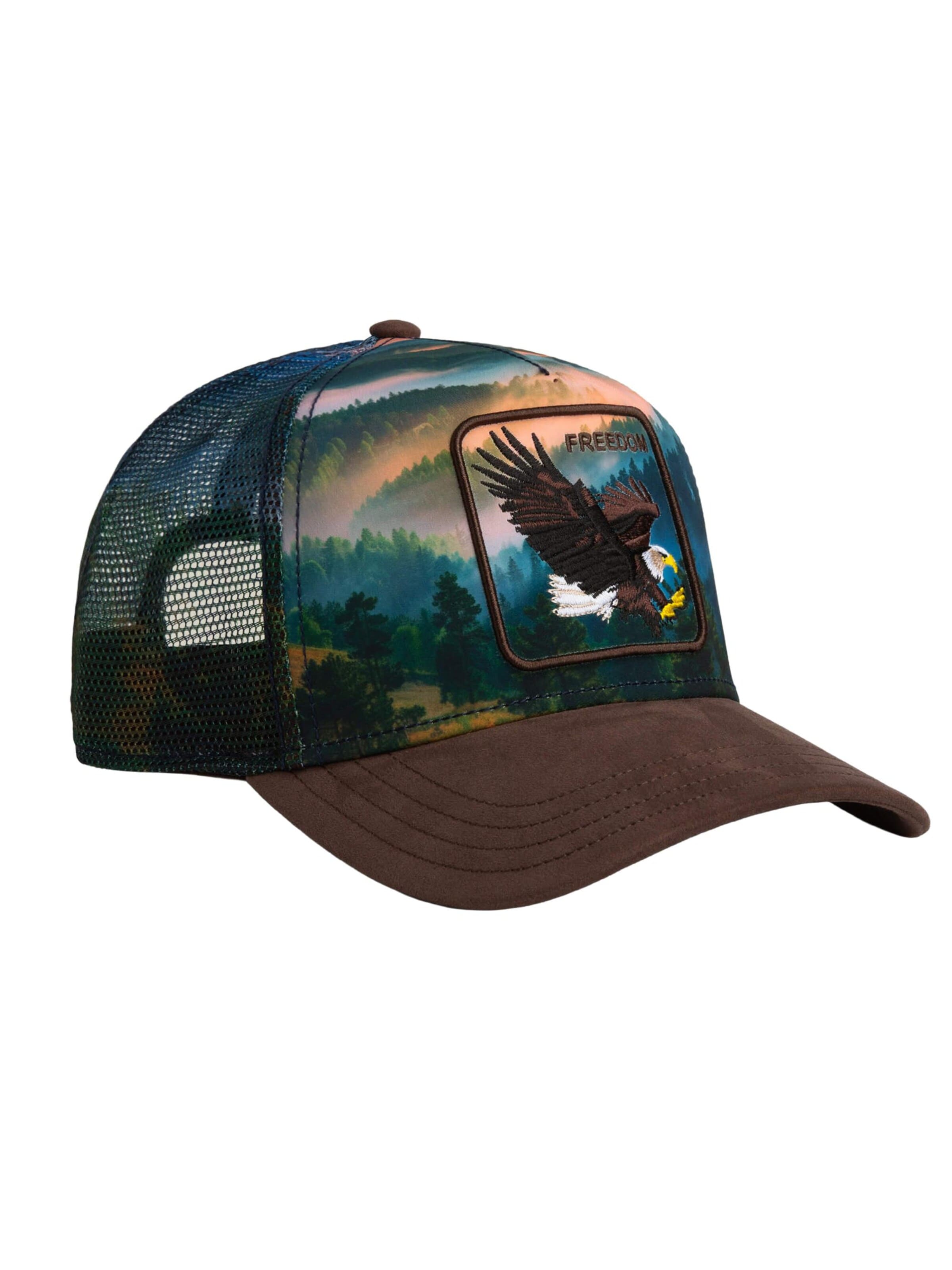GOORIN Bros. Cap 'Eagle In The Element'‌‌ in Mischfarben