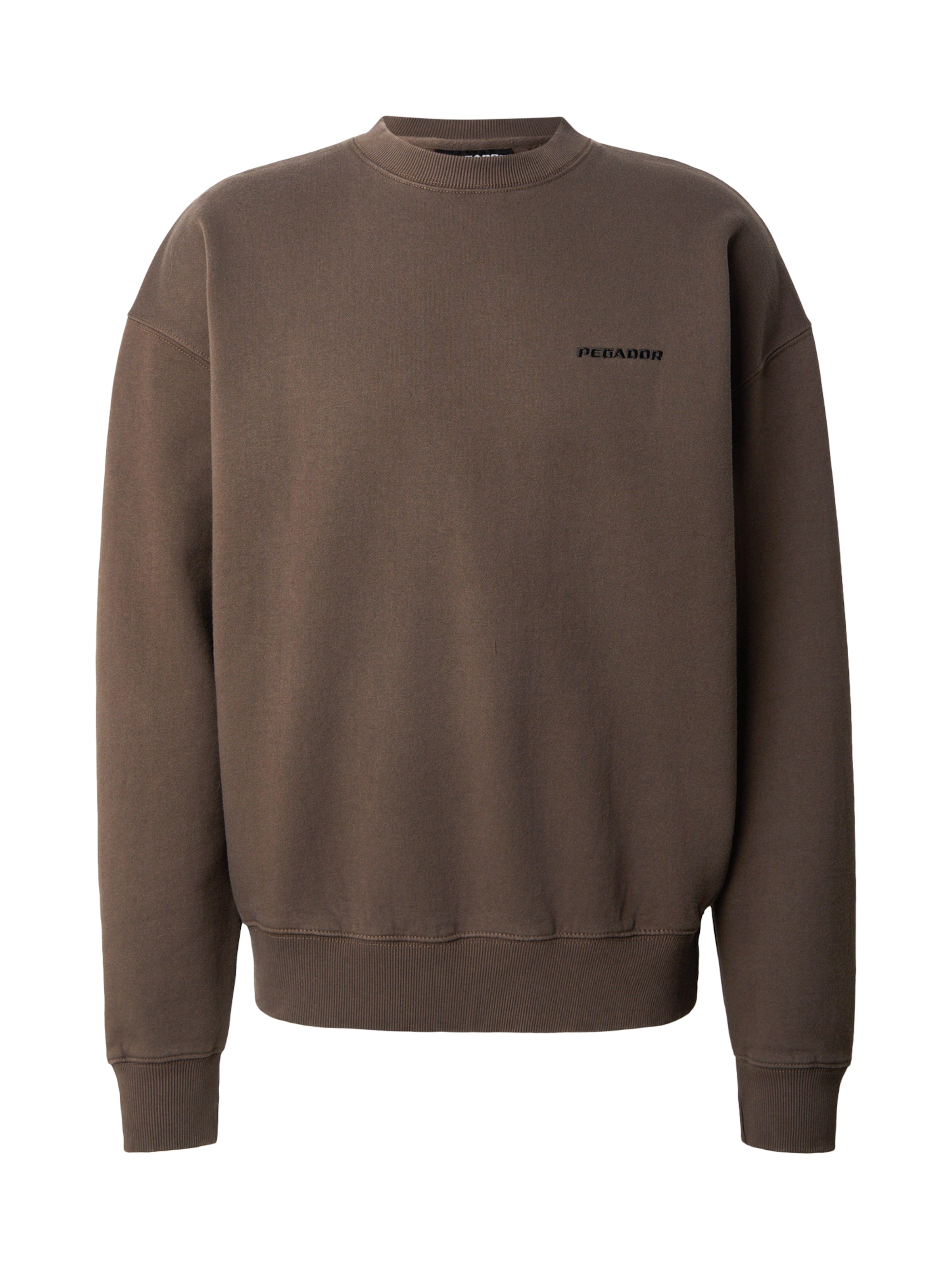 Pegador Свитшот в Коричневый: спереди