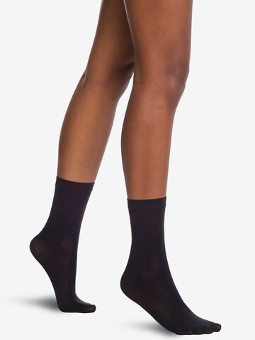Wolford Socks in Black: front