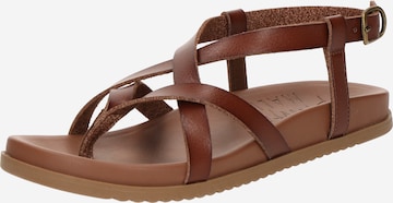 ruda Blowfish Malibu Šlepetės per pirštą 'Camden': priekis