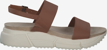 bugatti Sandals 'Raja' in Brown