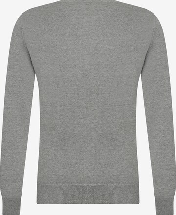 DENIM CULTURE Sweater 'Charlize' in Grey