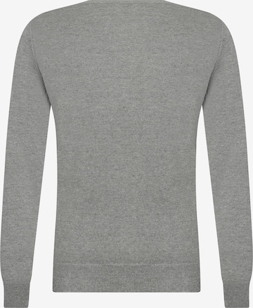 DENIM CULTURE Sweater 'Charlize' in Grey