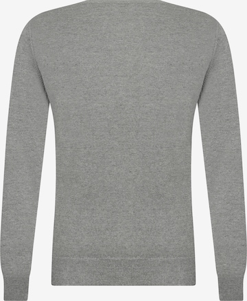 Pullover 'Charlize' di DENIM CULTURE in grigio