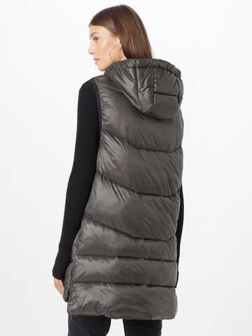 Frieda & Freddies NY Bodywarmer in Bruin