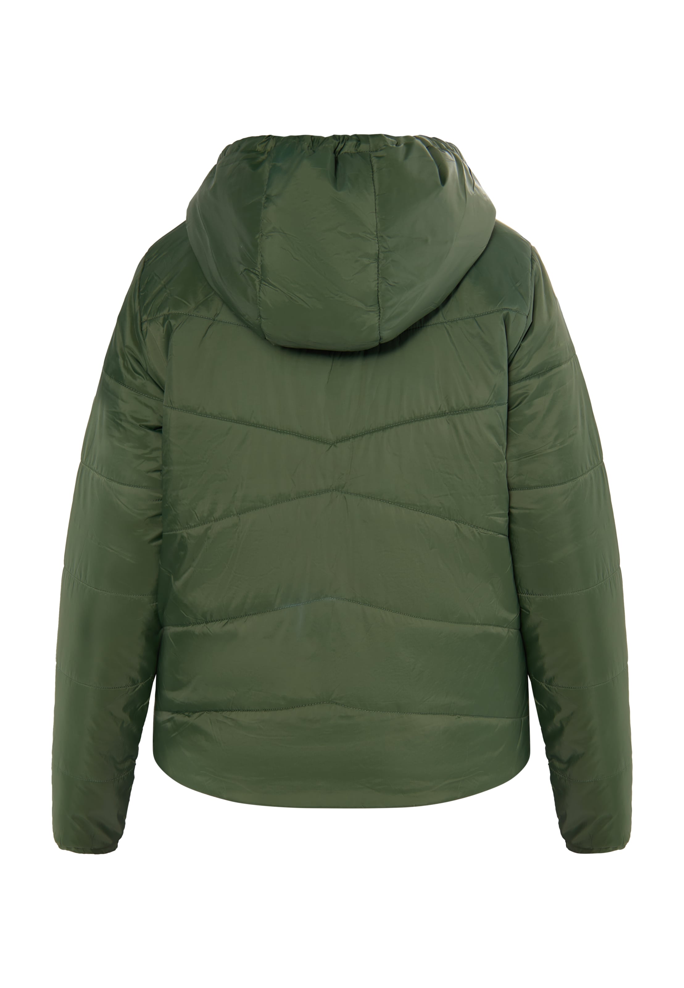 Usha Kevad-sügisjope, värv roheline